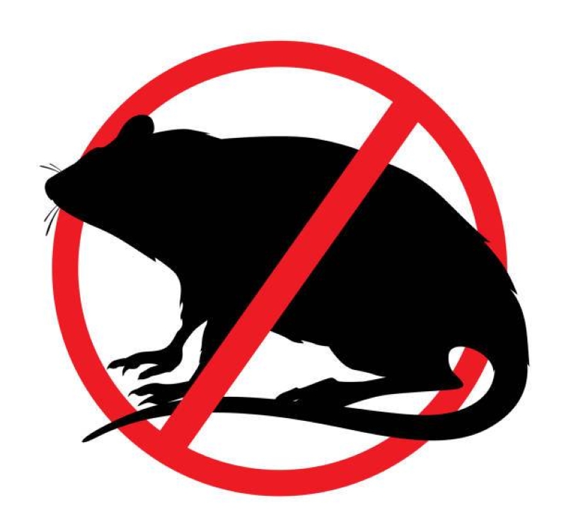 Letlhabile JSS teacher 'commits suicide' by rat poison