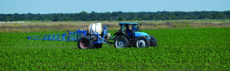 New pathways: The Chobe Landboard has allocated more space for commercial agriculture PIC: BAMB