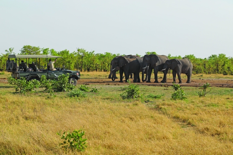 The lap of luxury: Previous wealth reports indicated that the Okavango Delta is one of the favourite addresses for the world’s richest PIC: THALEFANG CHARLES