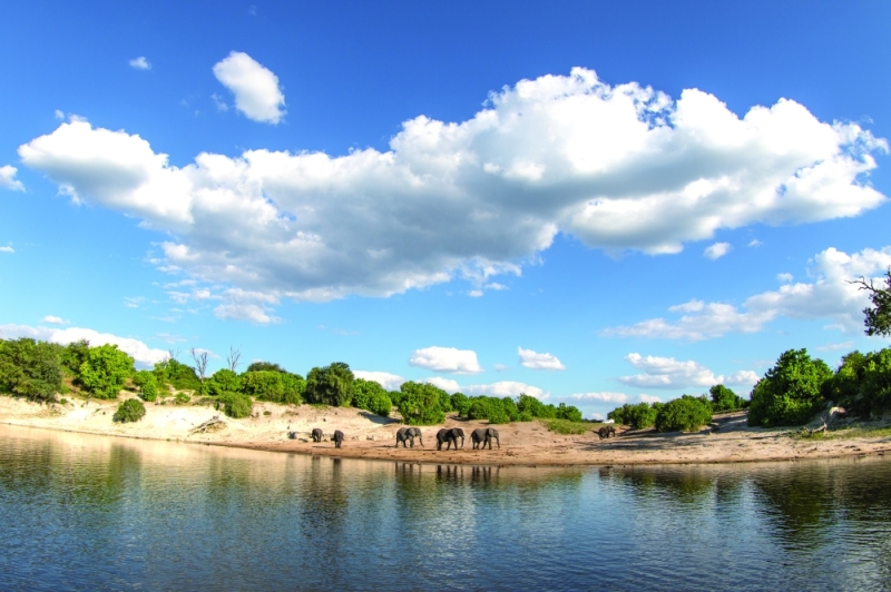 Contested: The Chobe River front is Kasane’s prime attraction PIC: THALEFANG CHARLES