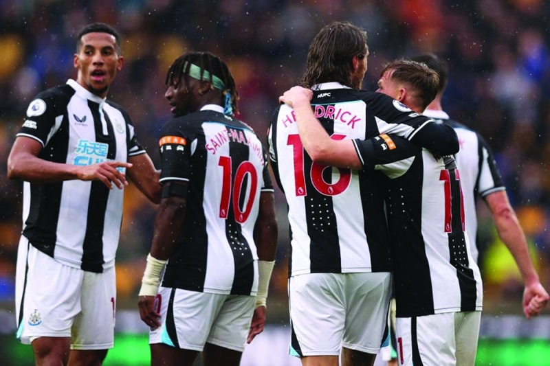 Interested: The Botswana government wants to partner with Newcastle United PIC: SHIELDS GAZETTE