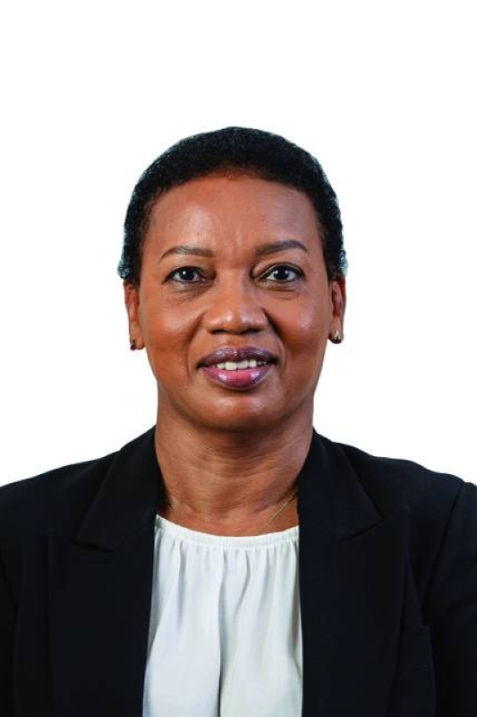 P120mmisuse puts FirstCred under judicial management Mmegi Online