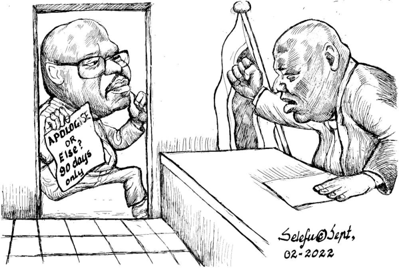Mmegi cartoon