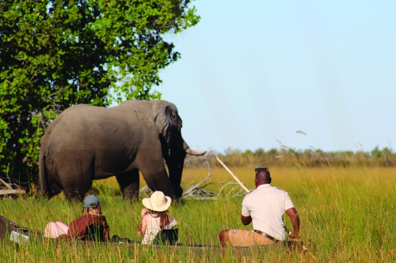 Easy sailing: Tourists from Camp Okavango enjoy a recent cruise of the Delta on a mokoro PIC: MBONGENI MGUNI
