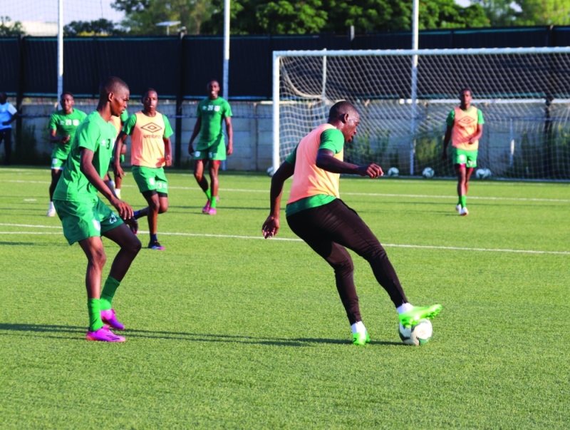 Zebras’ friendly disturbs league schedule :: Mmegi Online