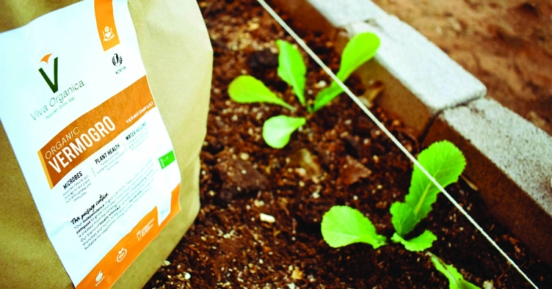Global reach: Moesi and her company, Viva Organica, were recognised at the recent climate change summit held in Egypt