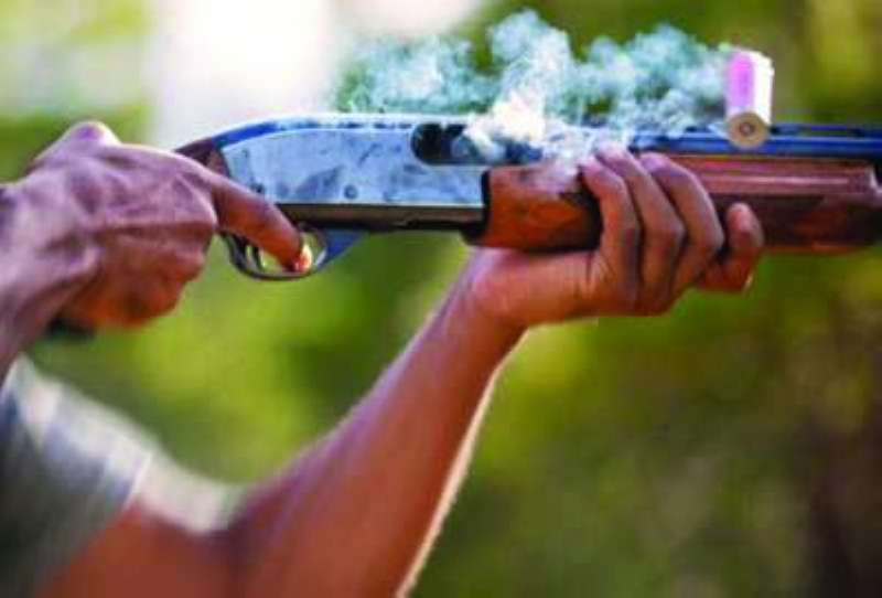 Not actual Gun