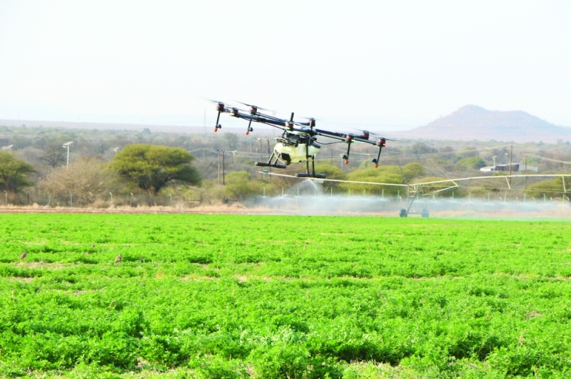 Shifting gears: The author argues that space is being created for greater value addition in sectors such as agriculture, which will support sustainable economic growth PIC: MORERI SEJAKGOMO