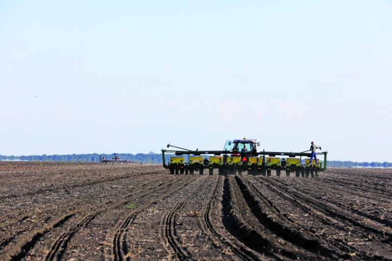 Breadbasket: The black cotton soils of Pandamatenga are the mainstay of the country’s cereal and pulse production. Farmers there are now adding horticulture to their output PIC: THALEFANG CHARLES