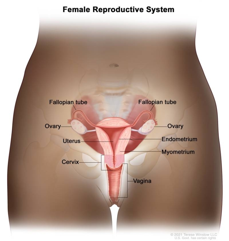 Created for the National Cancer Institute, http://www.cancer.gov