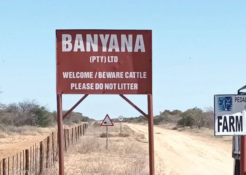 Banyana Farms