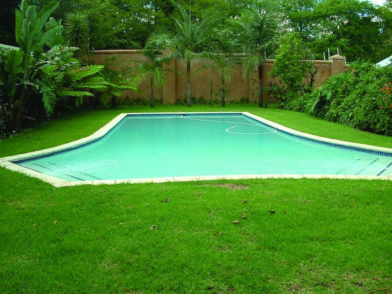 Teenage boy drowns at pool party Mmegi Online