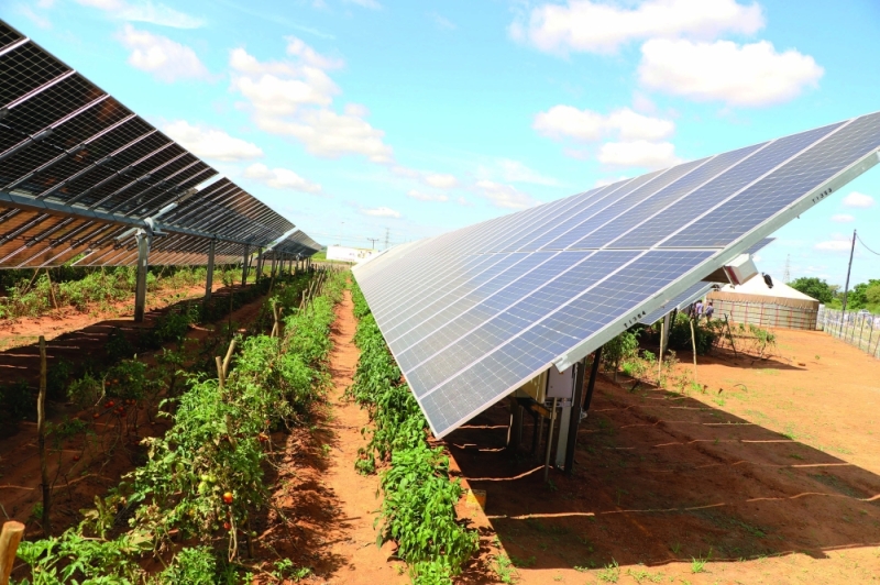 Agrivoltaic solar power plant at BUAN PIC: PHATSIMO KAPENG