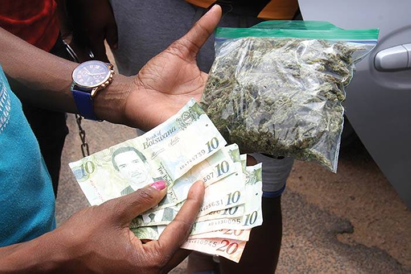 Dagga PIC: MORERI SEJAKGOMO
