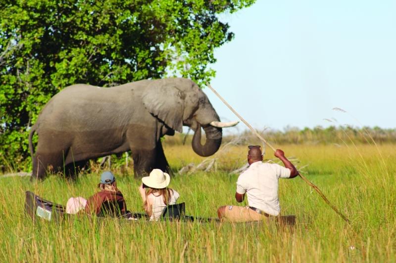 Lavida loca: The Okavango Delta features in the Africa Wealth Report as one of the holiday spots most favoured by the world’s ultra-wealthy PIC: MBONGENI MGUNI
