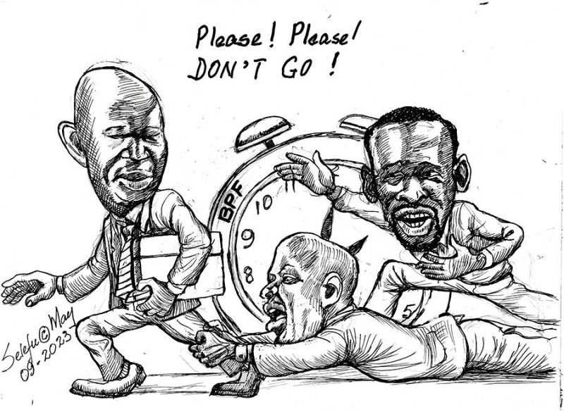 mmegi Tuesday online (11)