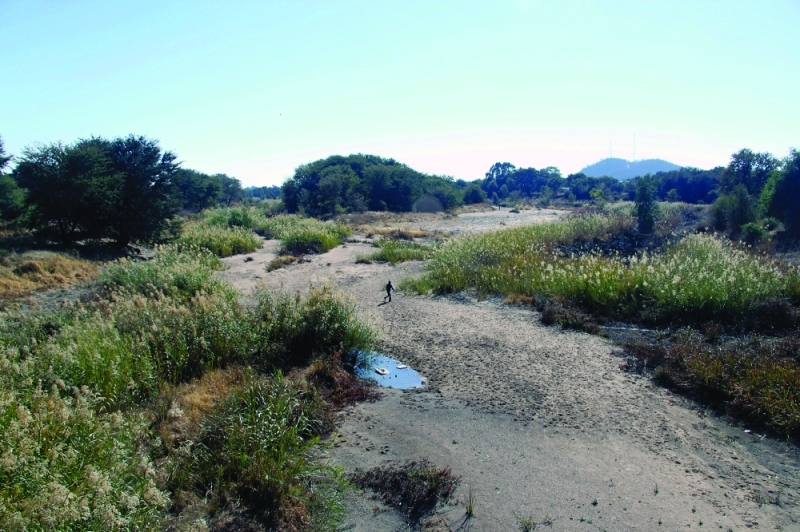 Tati River is choking with hostile vegetation PIC: KEOAGILE BONANG