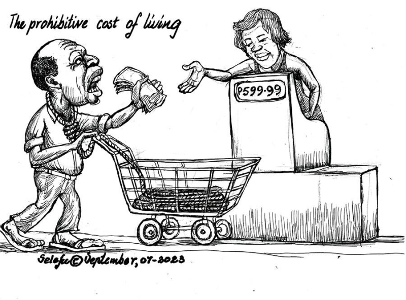 The prohibitive cost of living Mmegi Online