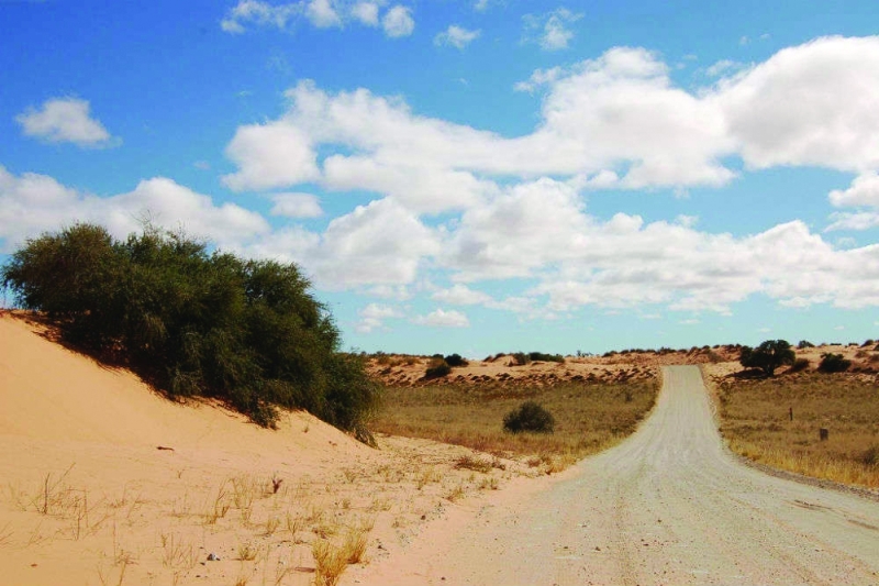 Out in the open: The author says seeing the western expanse is key to seeing Botswana PIC: TIMESOFINDIA TRAVEL
