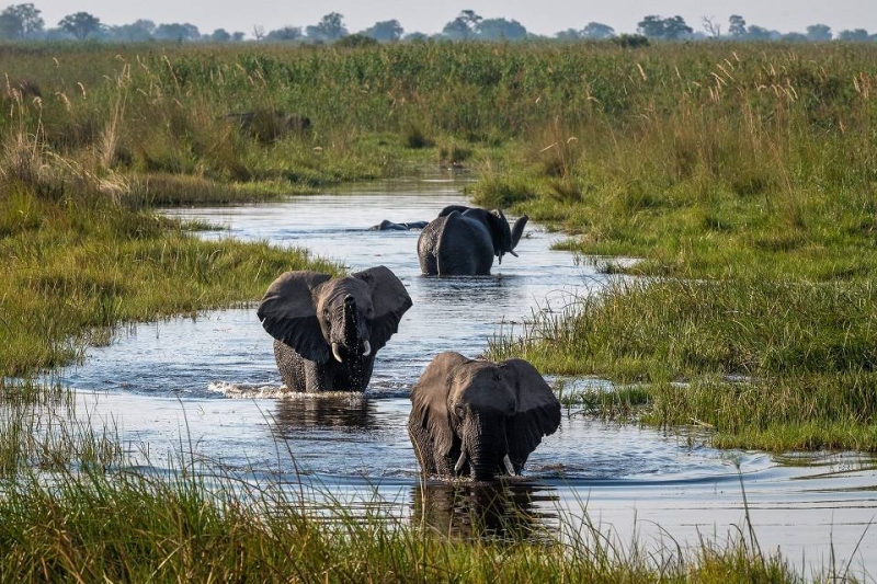 Pristine: Wilderness is one of Africa's biggest conservation and tourism groups