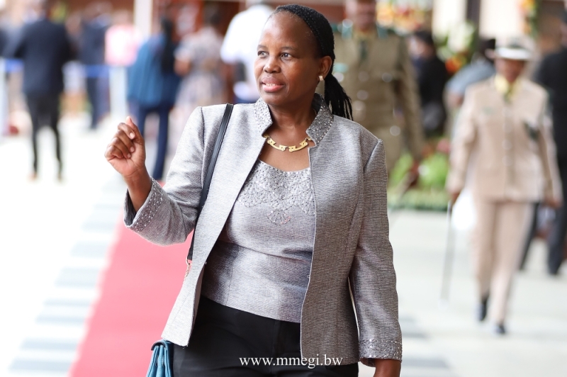 Dow has not missed any opportunity to take a swipe at the BDP PIC.KENNEDY RAMOKONE