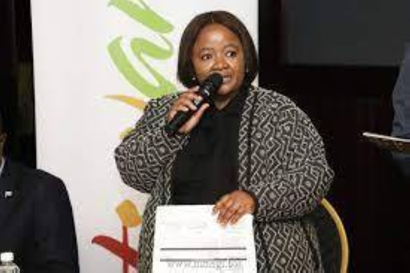 Covid challenges still haunt the tourism sector - Vimarsana News