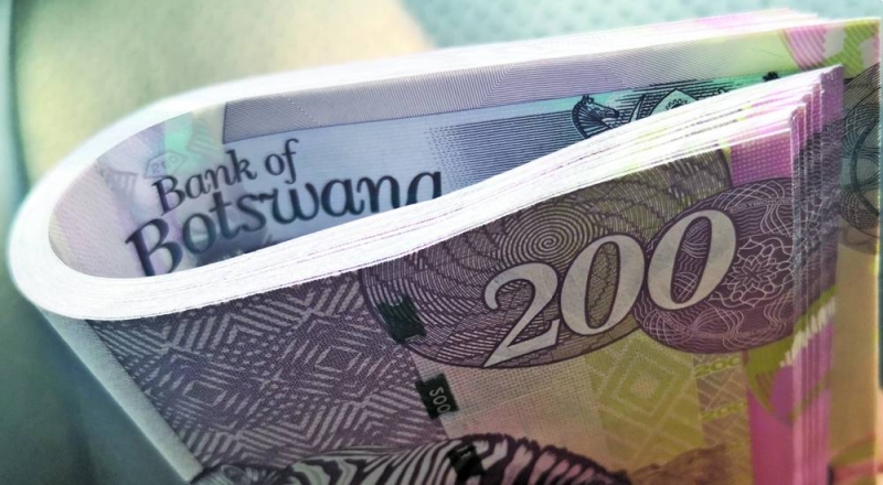 Cash in hand: The Pula's value will be adjusted downwards during 2024