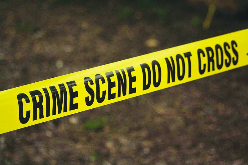 Dark deeds: The suspects are accused of killing the security officer and stealing ARVs on Decembger 23