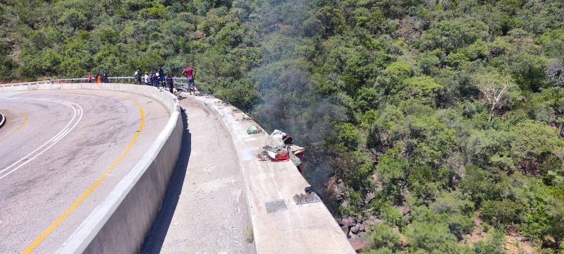 Govt to repatriate bus crash victims