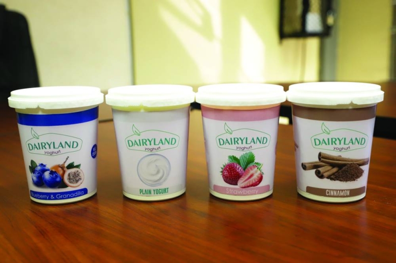 Dairyland yoghurt. PIC MORERI SEJAKGOMO