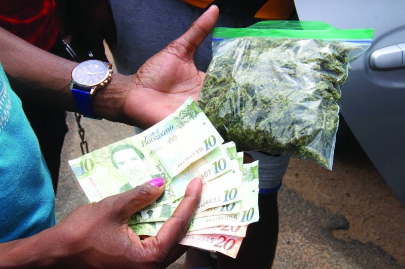 Dagga. PIC MORERI SEJAKGOMO