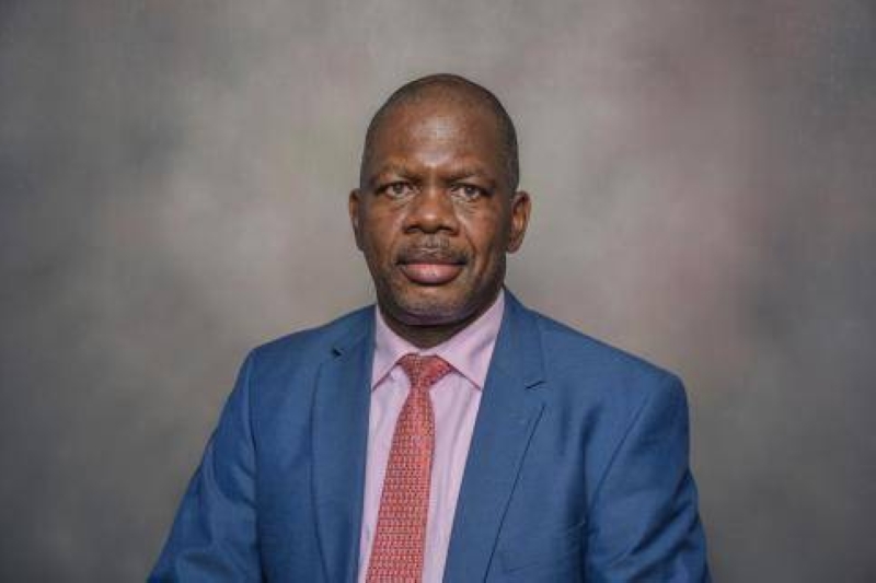 Moseki appointed deputy bank governor