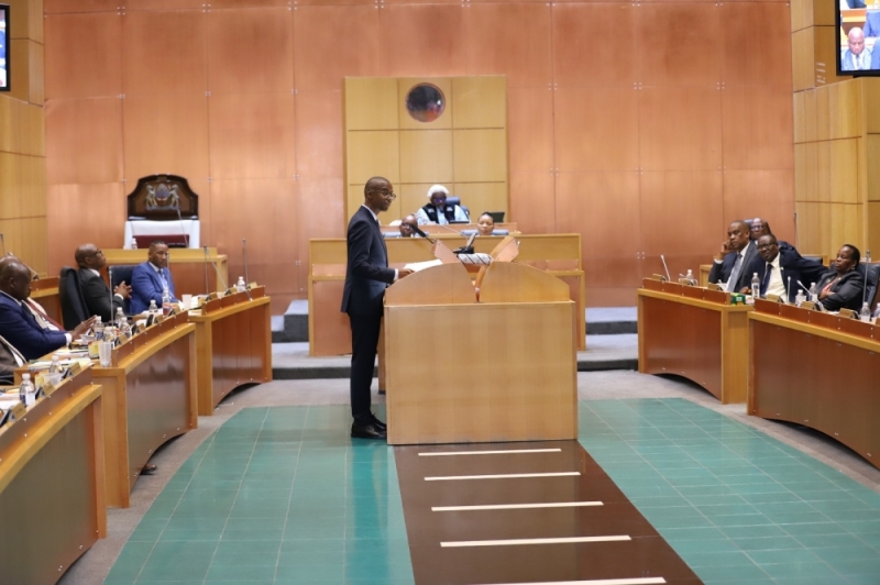 Legacy: Gaolathe delivering the budget last week PIC: KENNEDY RAMOKONE