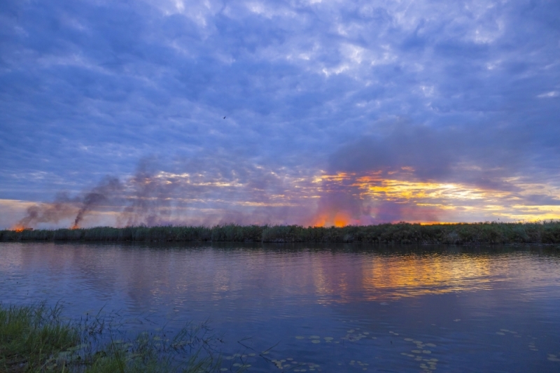 Emerging threat: Papyrus on fire in the Okavango River. Scientists are warning about the dangers these fires cause to the Okavango Delta. PIC: THALEFANG CHARLES