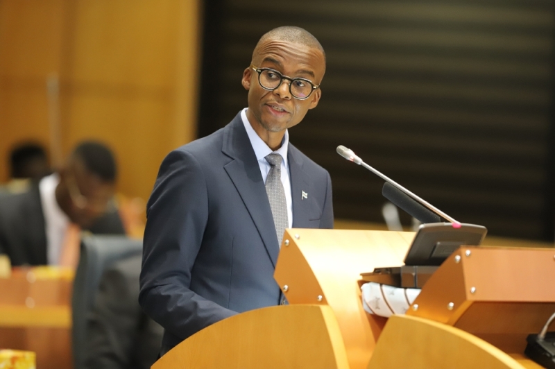 Wings clipped: Batswana want government officials to limit their travel in line with the revelation that the budget is weak PIC: KENNEDY RAMOKONE