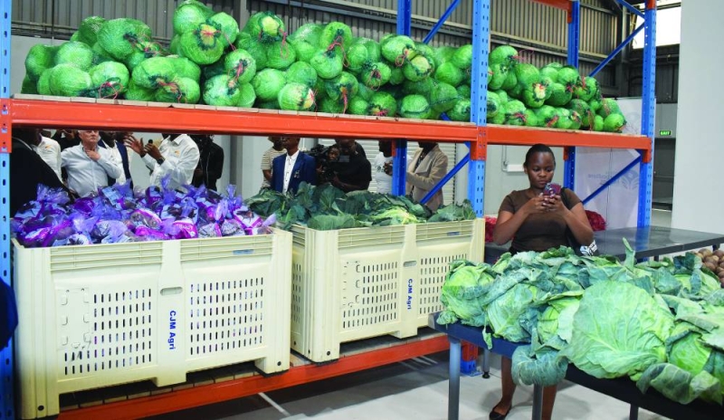 Vegetables produced in Botswana. PIC PHATSIMO KAPENG