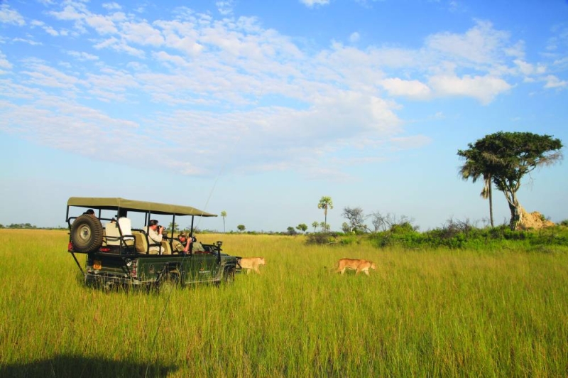 Green opportunity: Previous advisors have said Botswana has a unique opportunity to position itself as a global leader in sustainable tourism PIC THALEFANG CHARLES