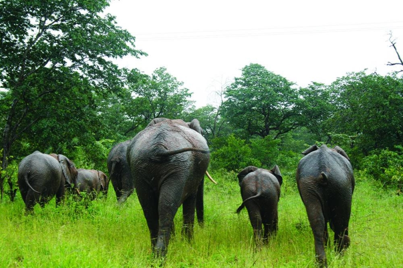 EU pumps P77m into KAZA