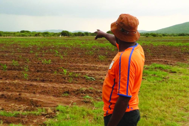 Inside the Lemang Dijo programme