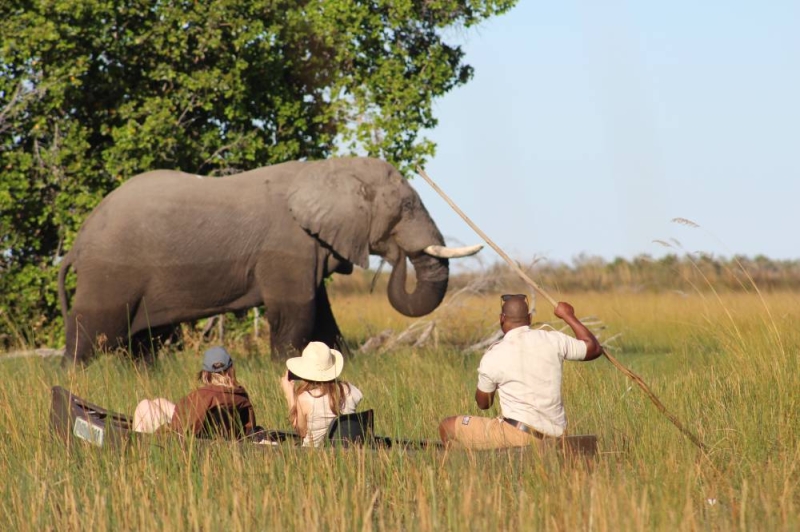 Gov't looks to double industry jobs through city tourism