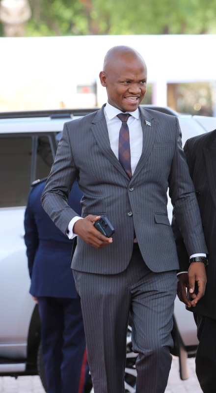 Dikoloti: A master schemer