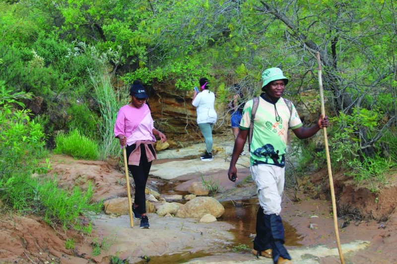 Hiking and love in the wild