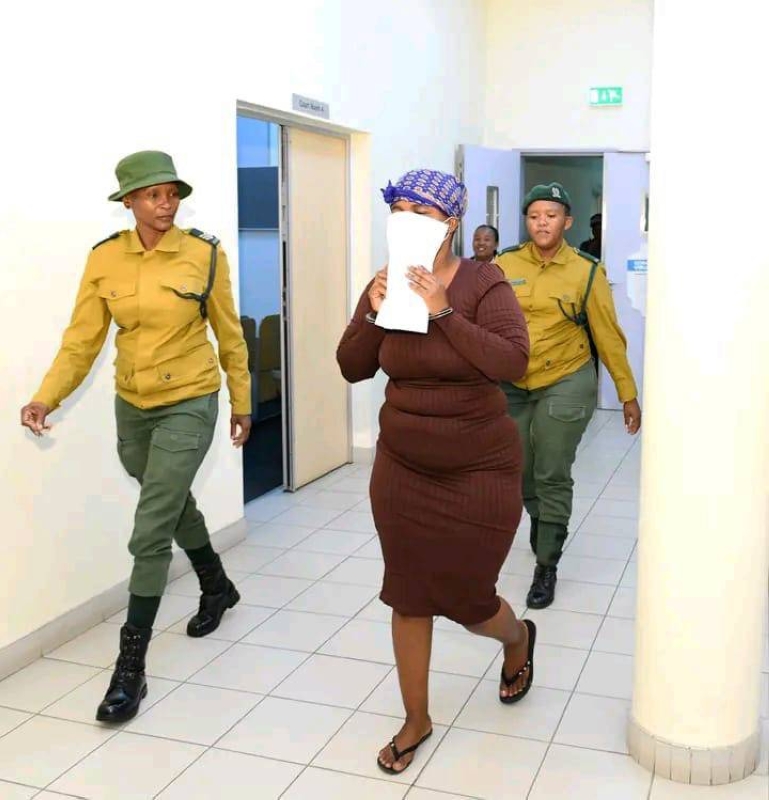 Maid pleads guilty to one charge, denies another