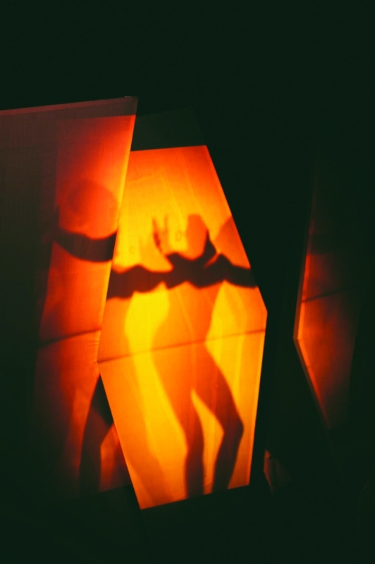 Ditsala frames art as a lens on black identity, diaspora struggle