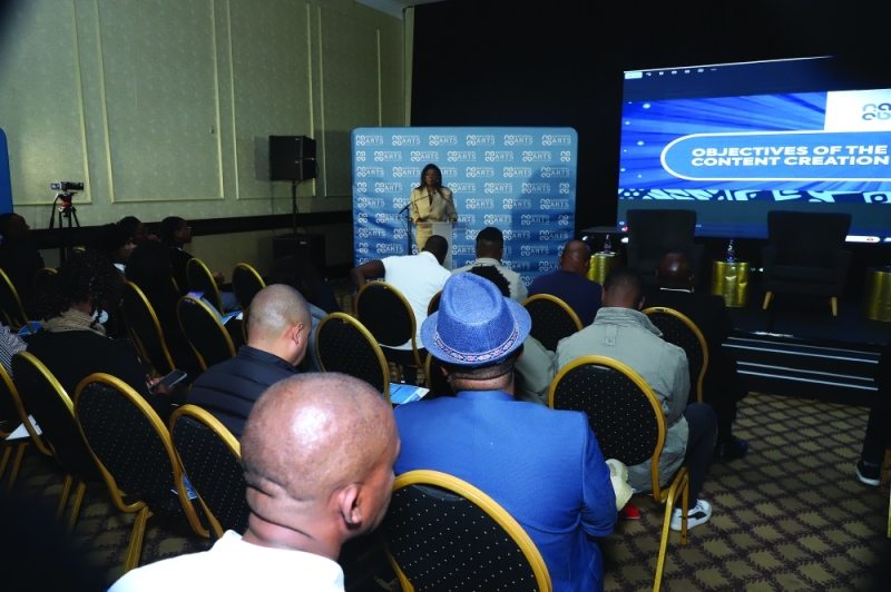 This is an ongoing process- Arts Council