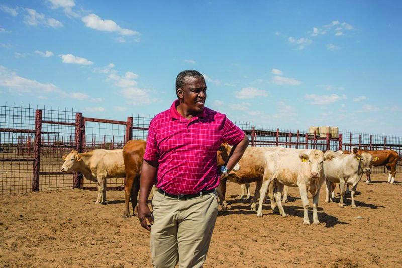 Court slams ‘indefinite’ Kgosi property freeze