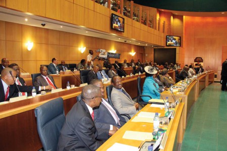Sole voice: Tshireletso (in turquoise dress and hat) is among the few women MPs