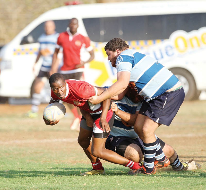 Hogs Vs Cheetahs