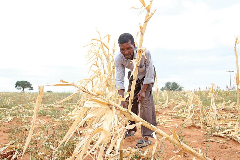 Relief beckons: Parliamentary yesterday considered P 445 million in emergency funding following President Ian Khama's declaration of drought late June. PIC: KAGISO ONKATSWITSE