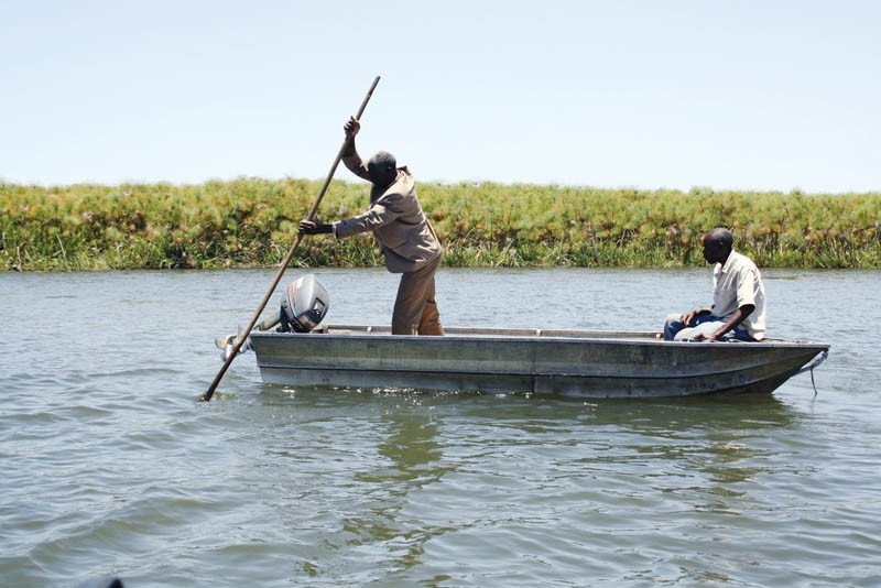 Okavango and Chobe are congested with mobile tour operators